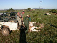 Africa0476DSCN0565