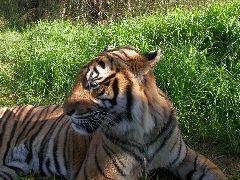 Africa0525DSCN0614