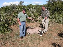 Africa0344DSCN0433