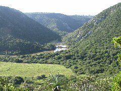 Africa0381DSCN0470
