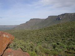 Africa0397DSCN0486